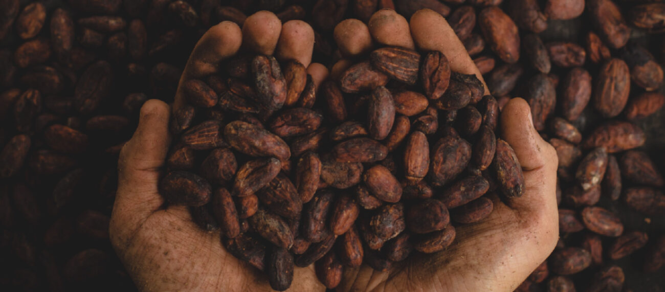cómo se hace el chocolate